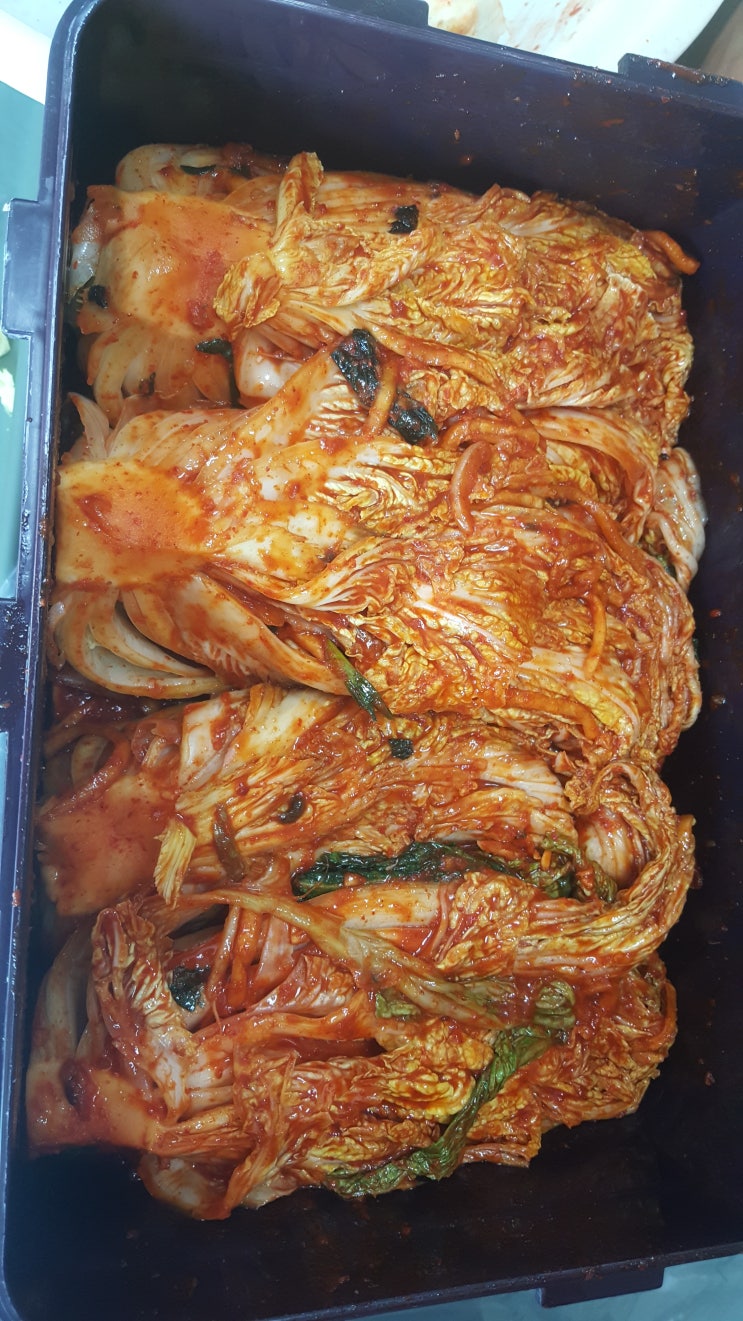  가족 모두 모여 김장 담궜습니다.