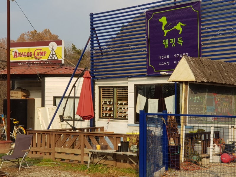 사진 3