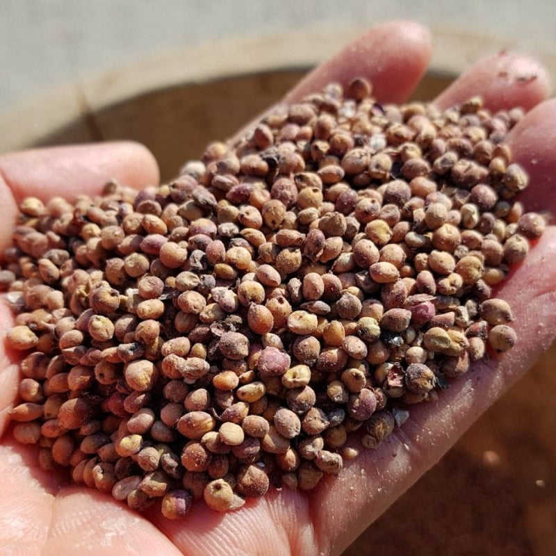 여드름 효능, 부작용 여드름 효능, 부작용