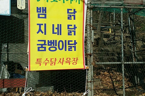 장생산약초 이미지