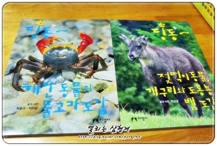  지성사  딩동~ 도감 시리즈- 젖먹이동물, 해안동물