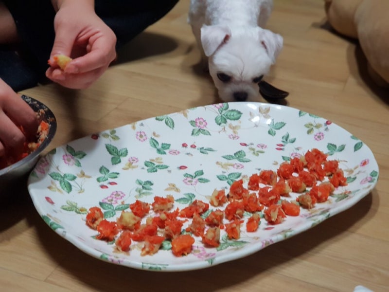 다이어트 간식 추천 강아지도 먹을 수 있는 마루의 아침 꿀 군고구마보시 11