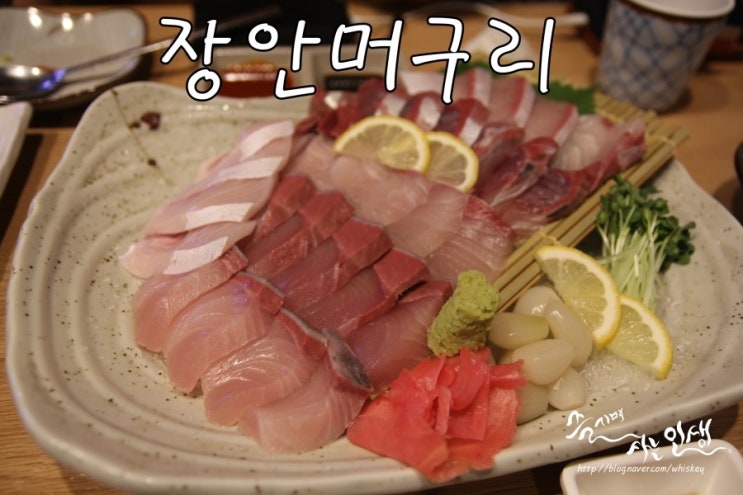  [장안동횟집] 장안동방어 즐기러 머구리로 ~