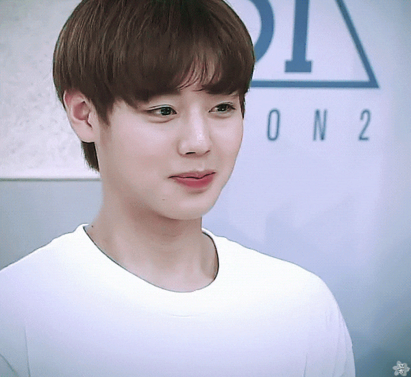  워너원박지훈 고소 법무법인강남 고승우변호사님 인스타그램