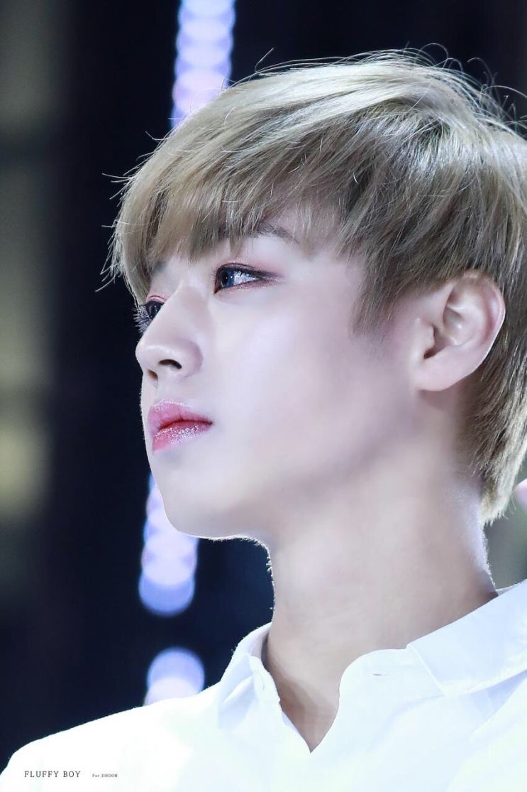 박지훈 고소관련 고승우 변호사님 인스타