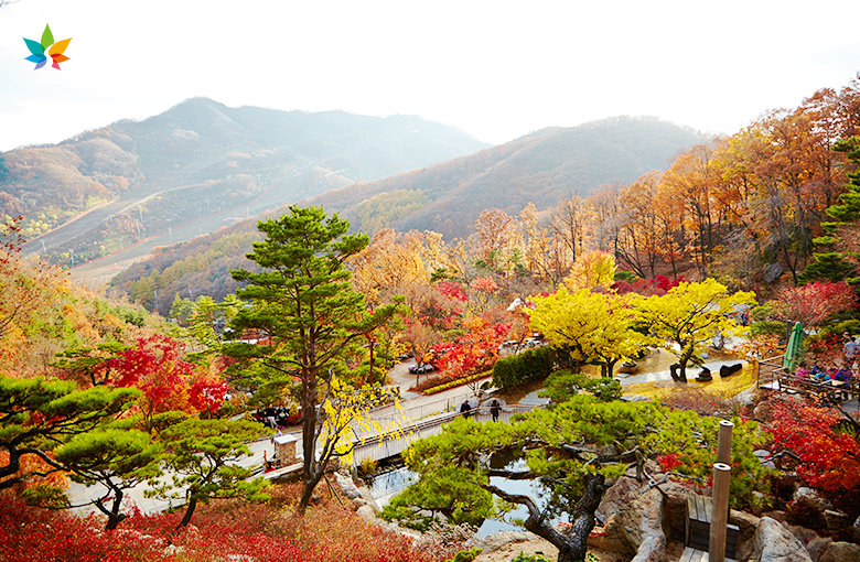 화담숲 겨울 풍경