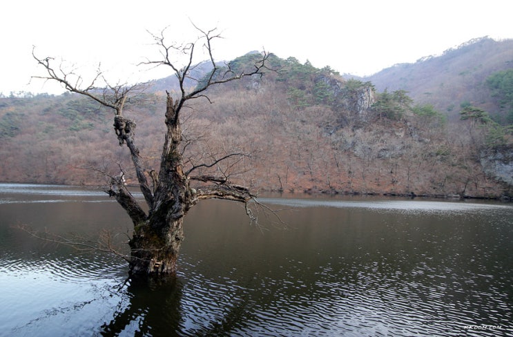 청송 주산지 - 청송 가볼만한 곳