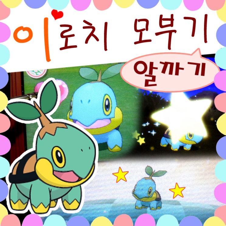  4세대 포켓몬 이로치 모부기