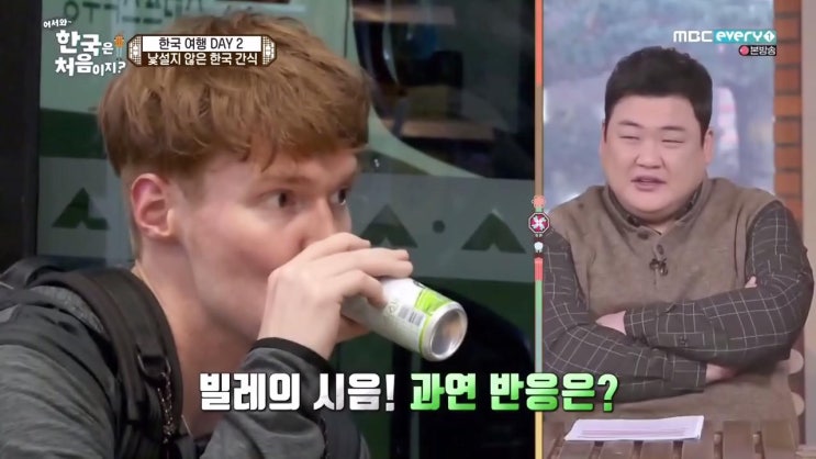  '어서와 한국은 처음이지?' 핀란드편 3부 리뷰