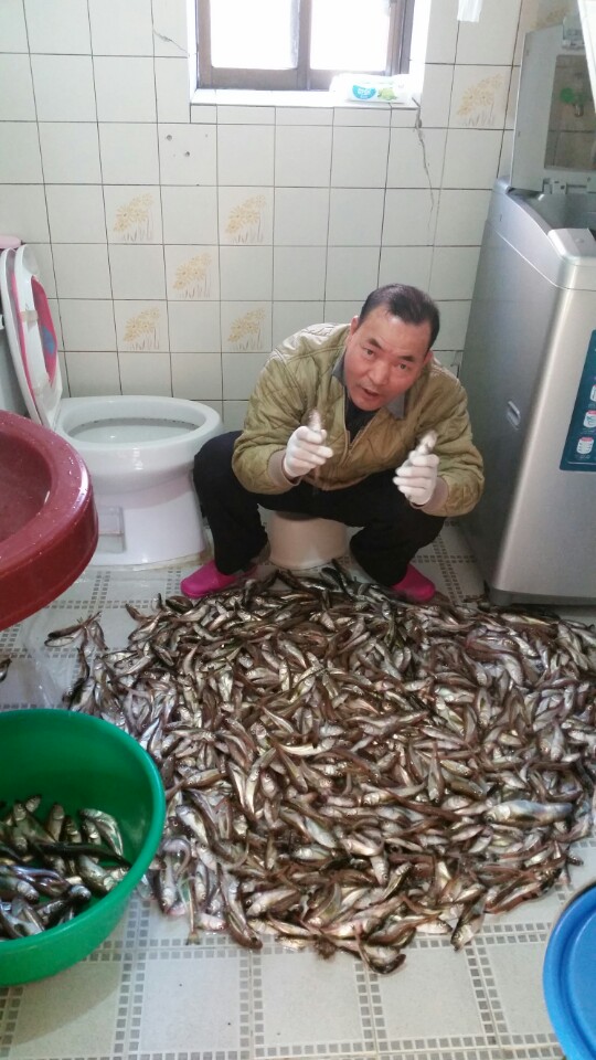  도루묵의 'ㄷ'도 묻지마라 ㅜㅜ 놀래미로 만족~