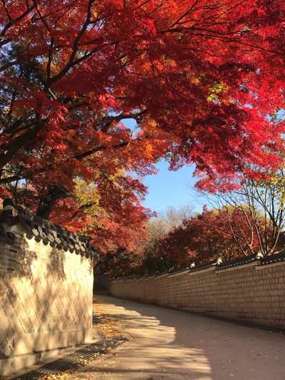  서울여행추천 - 어둠속의 대화/서울미술관,석파정/창덕궁 후원/한국가구박물관/오픈하우스