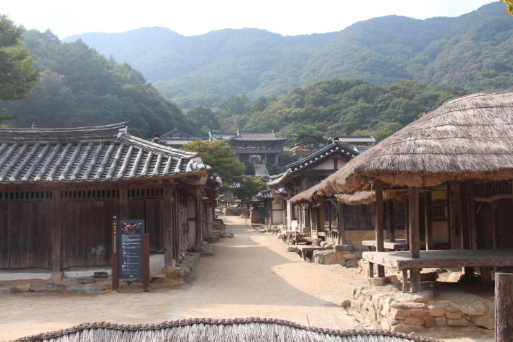  타임슬립 여행지, 용인 대장금 파크에 다녀왔습니다!