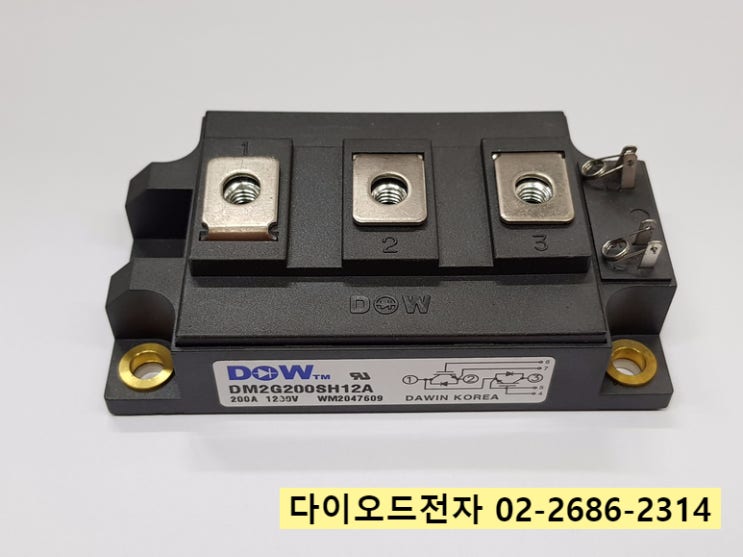  [판매중] DM2G200SH12A / DM2G150SH12A / DM2G300SH12A / DM2G100H12A / DAWIN IGBT 전문점
