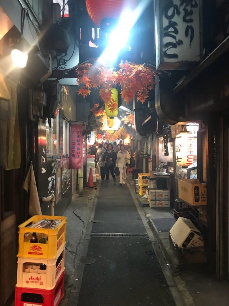[도쿄, 신주쿠] 신나는 도쿄의 밤, 오모이데요코초 & 골든가이