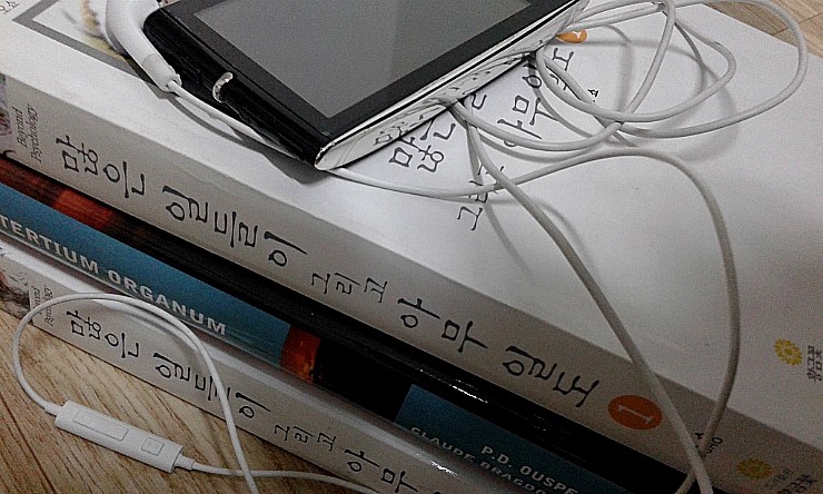 블링크/많은 일들이 그리고 아무 일도(말콤 글래드웰/오쇼) 블링크/많은 일들이 그리고 아무 일도(말콤 글래드웰/오쇼)
