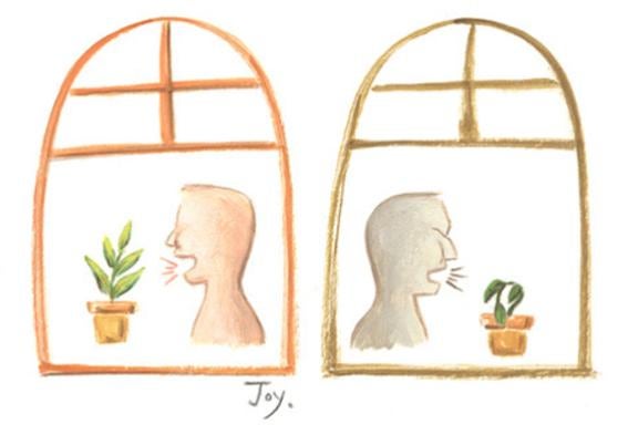 로젠탈 효과(Rosenthal effect)란? 사례(예시)를 알아보자. (피그말리온 효과 증명 사례) : 네이버 블로그