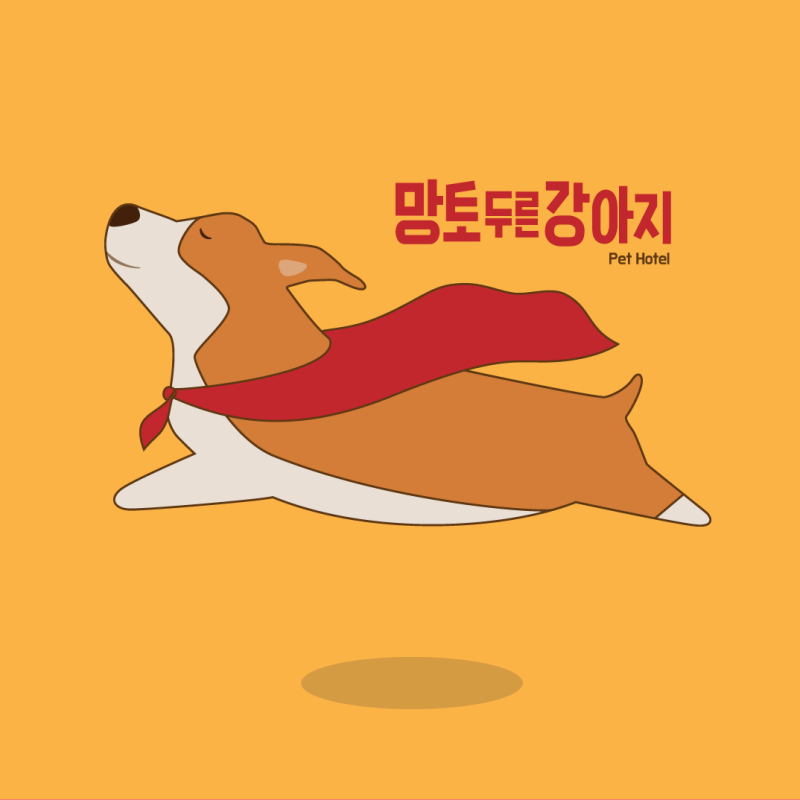 사진 5