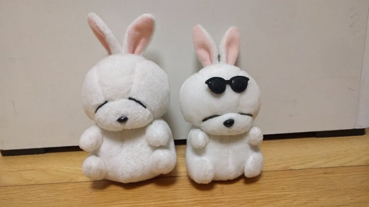  [매일매일 버리기]D+6_엽기토끼