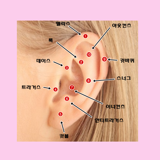 귀 뚫는 위치 어디가 예쁠까요? : 네이버 블로그 귀 뚫는 위치 어디가 예쁠까요? : 네이버 블로그