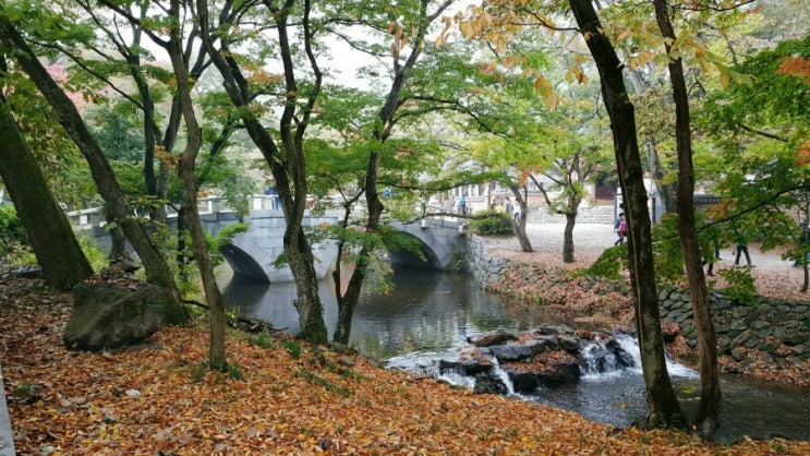 가을이면 떠나고 싶은 여행지:) 고창 선운사