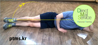 뱃살빼기 운동과 옆구리살빼는 집 운동스케줄 동작 모음 뱃살빼기 운동과 옆구리살빼는 집 운동스케줄 동작 모음