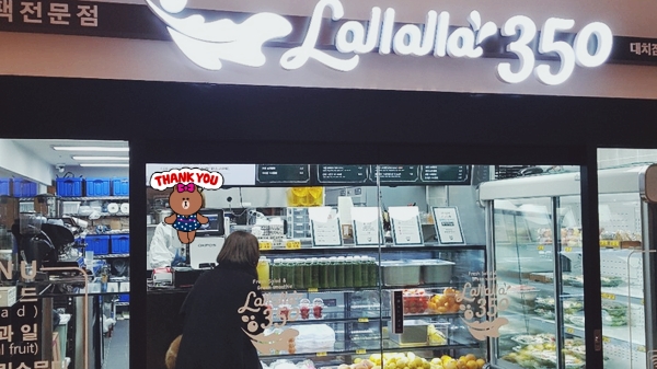  그린스무디 디톡스, 다이어트 10일체험