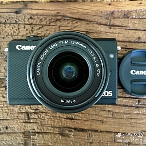 캐논 EOS M100 미러리스 카메라 : 구입 후기 및 초보자가 막 찍은 무보정 원본 사진 (왜 DSLR 대신....