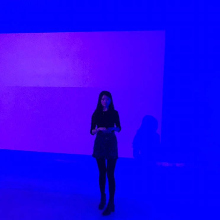  앨리스 전시회 (ALICE : Into The Rabbit Hole)