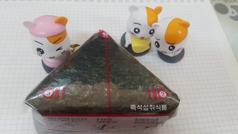 다이어트 삼각김밥 만들기 : 저탄수 고단백 식단