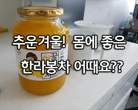  추운 겨울엔 역시! 한라봉차 아닙니꽈~~??