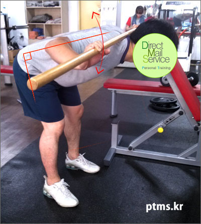 남자 여자 허리 건강할 때 하는 근육 강화 운동(디스크 있는 분 조심) 남자 여자 허리 건강할 때 하는 근육 강화 운동(디스크 있는 분 조심)