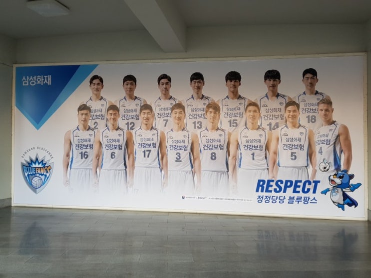 대전 배구 / 프로 배구경기 / 삼성화재 블루팡스 / 현대캐피탈 스카이워커스 / 클래식매치 / 충무체육관 대전 배구 / 프로 배구경기 / 삼성화재 블루팡스 / 현대캐피탈 스카이워커스 / 클래식매치 / 충무체육관