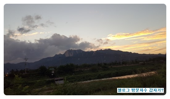  블로그 방문자수 갑자기?