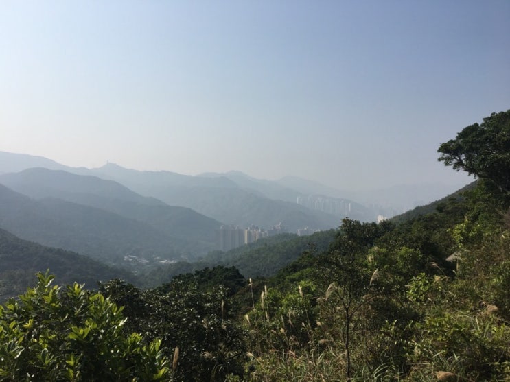 홍콩 여행, 홍콩 등산 ~  Mui Tse Lam 梅子林