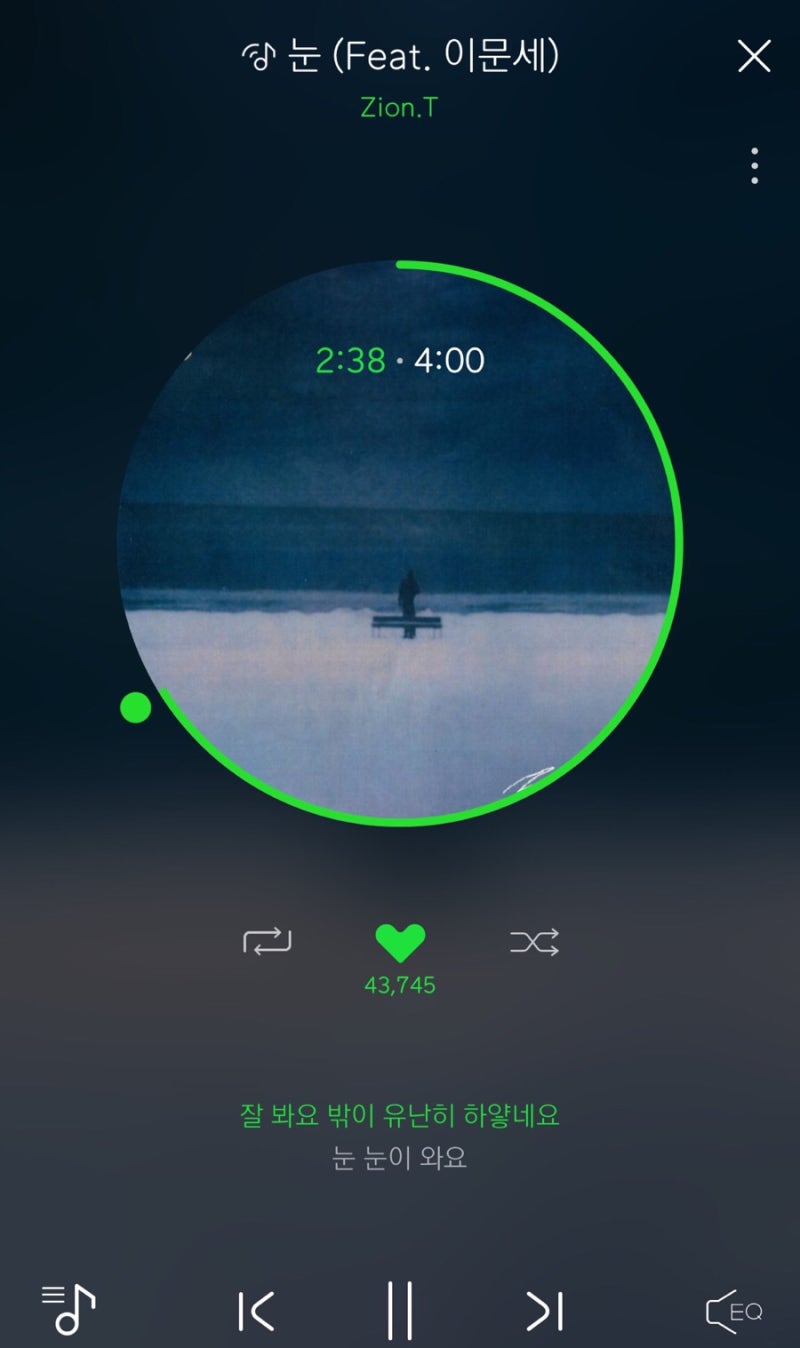 자이언티(feat.이문세)_눈