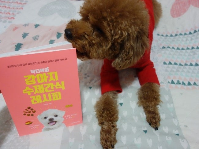 [서평후기] 닥터독의 강아지 수제간식 레시피를 읽고