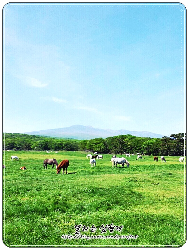  제주도의 풍경