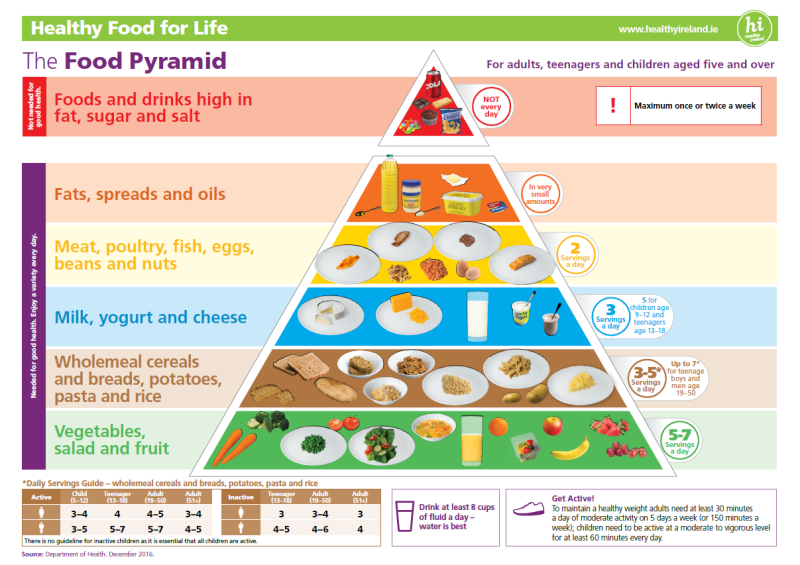 Food Pyramid Ireland vs US 네이버 블로그