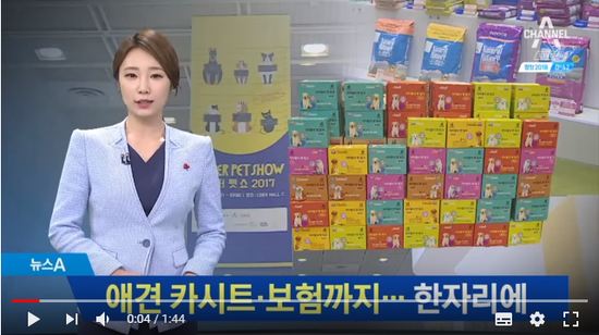 탑승 장치에 보험까지…반려동물 시장 급성장 탑승 장치에 보험까지…반려동물 시장 급성장