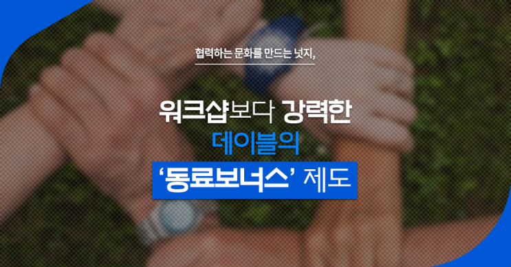 협력하는 문화를 만드는 넛지, 워크샵보다 강력한 데이블의 '동료보너스' 제도