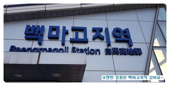  오랜만의 경원선 백마고지역 갔어요~