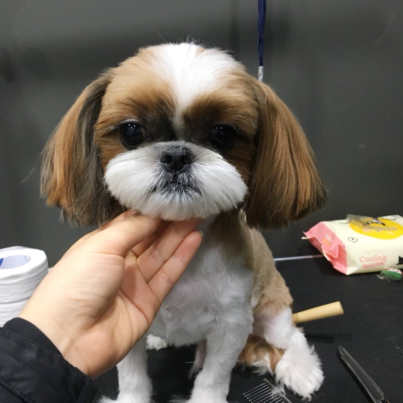 사진 4