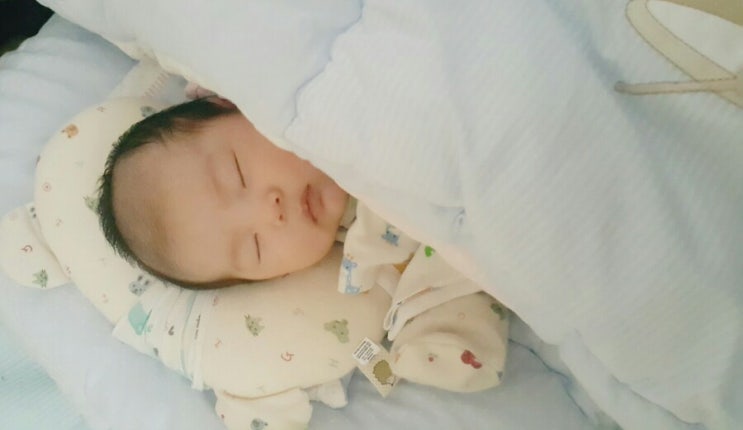  생후69일 옆으로자기