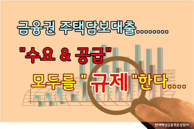 가계대출 규제 - "수요&공급" 모두를 규제한다.