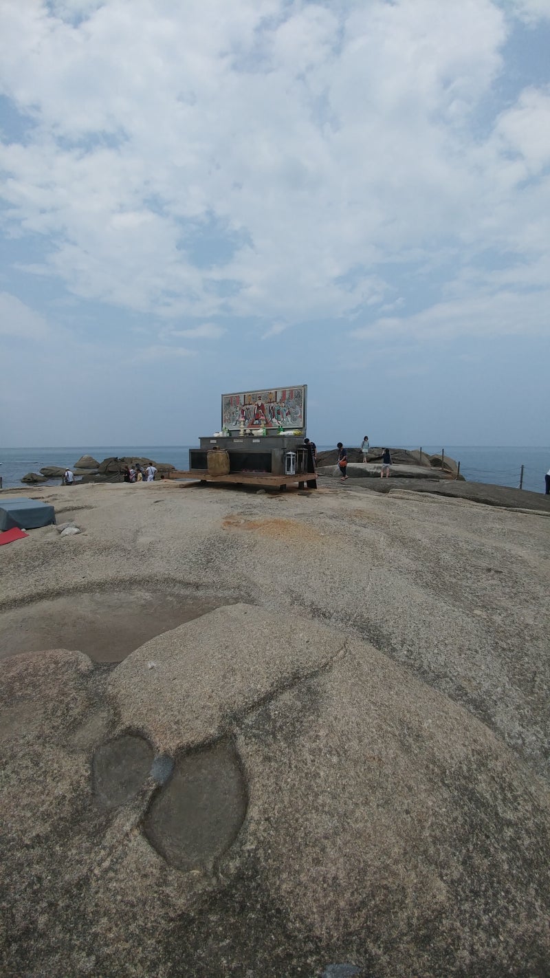 뉴이코노미무브먼트 주중 상승예상? : 네이버 블로그