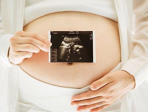 내년부터 난임시술 건강보험 지원 최대 2회 추가 내년부터 난임시술 건강보험 지원 최대 2회 추가