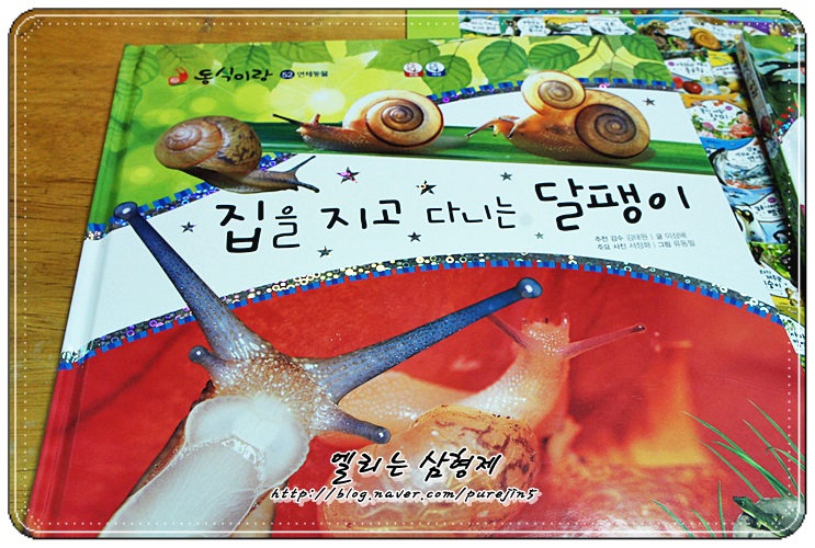  동식이랑 "집을 지고 다니는 달팽이" - 1000여장의 생생한 생태사진 관찰전집!