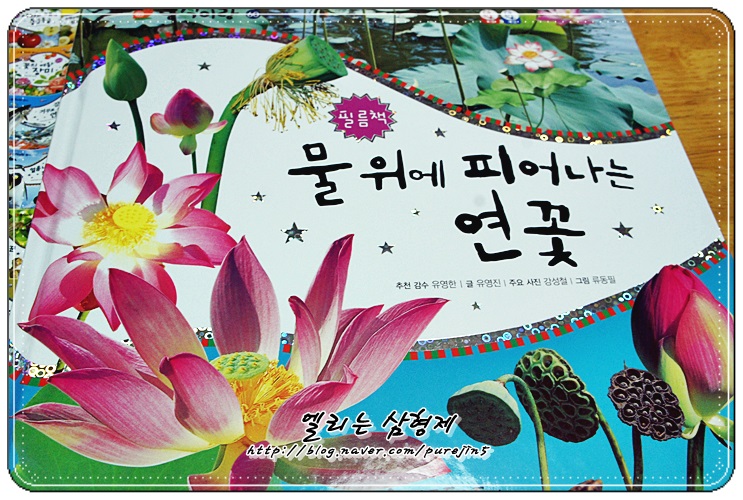  동식이랑 "물위에 피어나는 연꽃" - 1000여장의 생생한 생태사진 관찰전집!