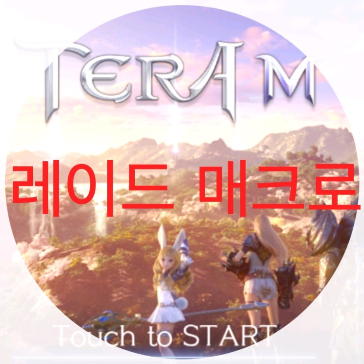  테라M 매크로 레이드 영상 및 팁