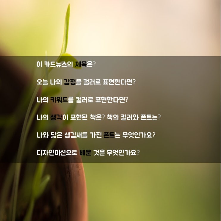  디자인프로젝트 13일차